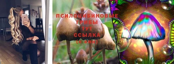 винт Богданович